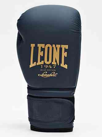 Боксерські рукавички Leone Mono Blue 14 ун. Кам'янське