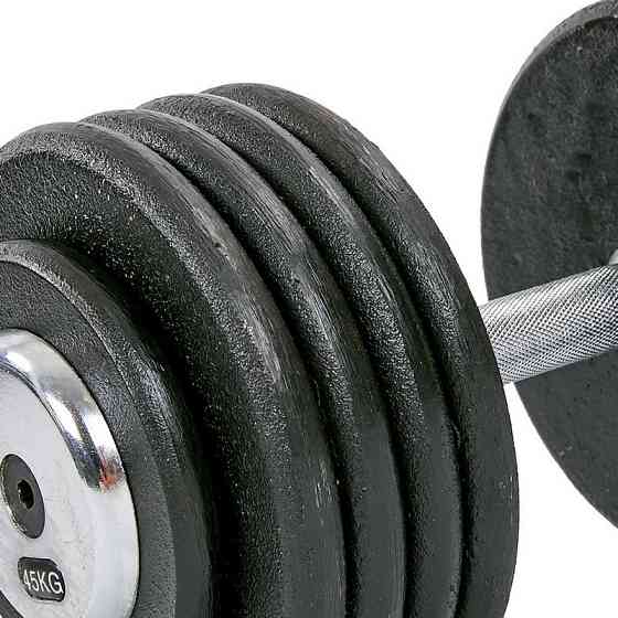 Гантель 45 кг цільна професійна RECORD-7231-45 Київ