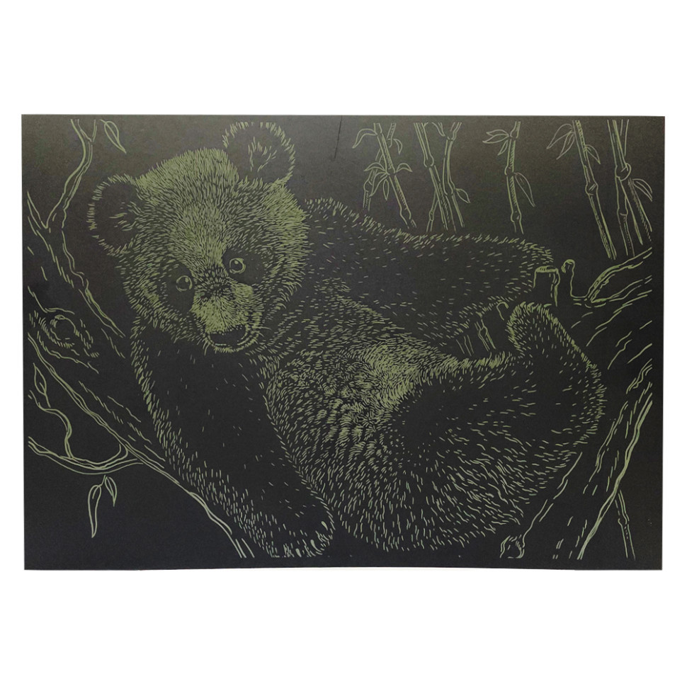 Гравюра А4 "Ведмідь" ГрА4-17з економ варіант в пакеті 29,7х21 см Вінниця - фото 1