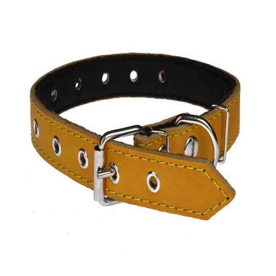 Нашийник 318 25 мм "Класик" шкіра+синтепон" безрозмірний Вінниця
