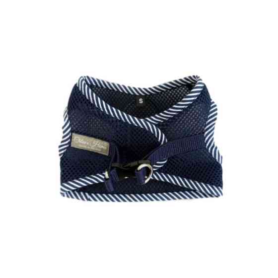 , XS Киев