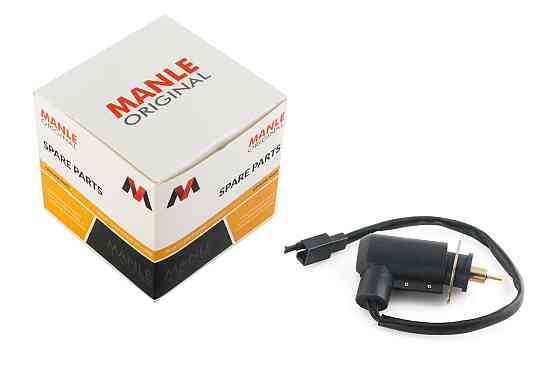 Электроклапан карбюратора 2T Стелс 50 Мукачево