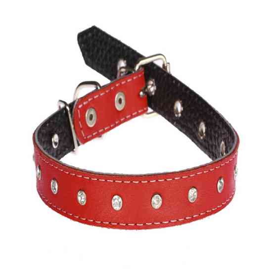 Нашийник 2244 20мм "Перламутр" шкіра подвійний прикрашений стразами Срібний Вінниця