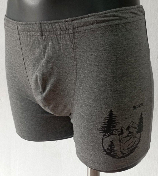 Труси чоловічі шорти Lans 06/026 Волк, M Київ - фото 1