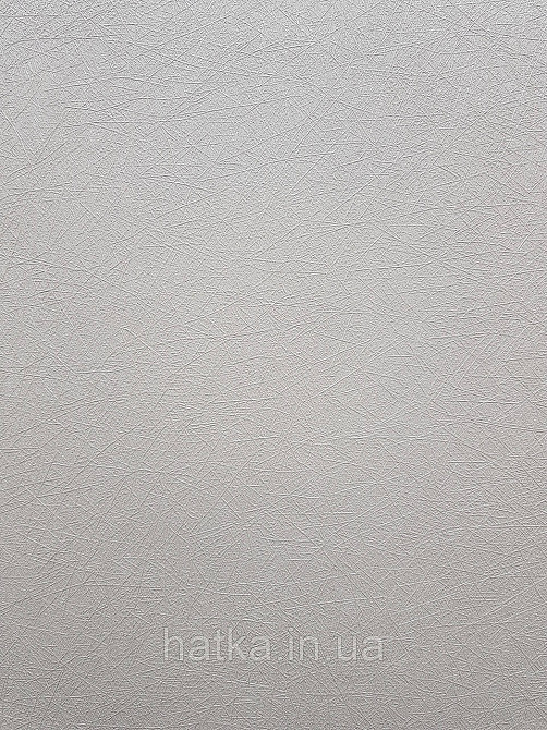 Шпалери метрові вінілові на флізеліні A.S.Creation Flowers Symphony1.06x10 смужки павутинка молочні перламутр Київ - фото 1