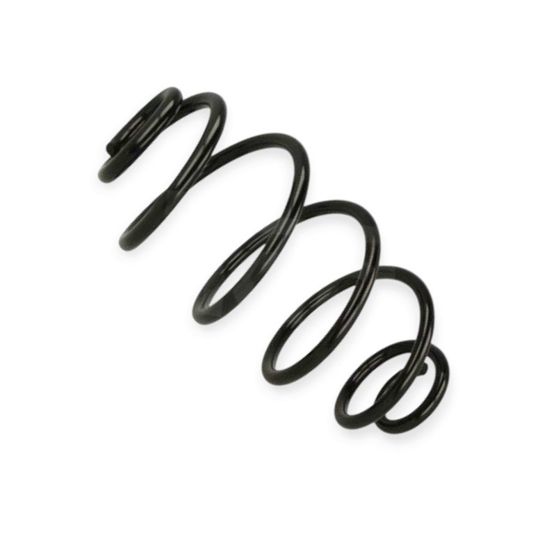 Пружина Opel Astra G 1.2-2.2 16V, 1.7TD, CDTI, 1.7-2.2DTI (98-09) ззаду Мукачево - фото 1