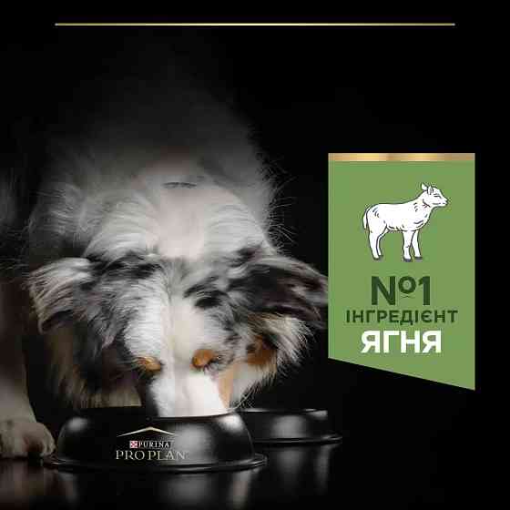 Сухий корм PRO PLAN Medium Adult 1+ Sensitive Digestion для дорослих собак середніх порід, з чутливим травленням, з ягням, 14 кг Київ
