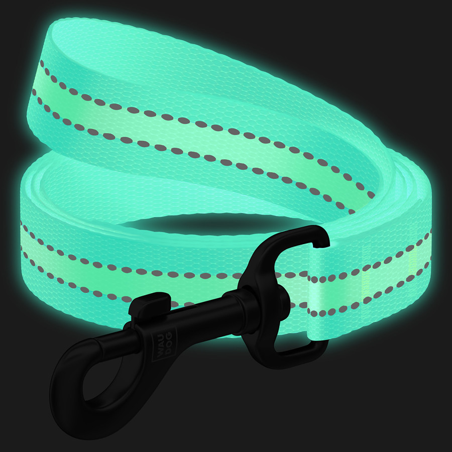 Повідець для собак нейлоновий WAUDOG Nylon, світонакоплювальний, Ш 20 мм, Дов 122 см блакитний Коломыя - изображение 3