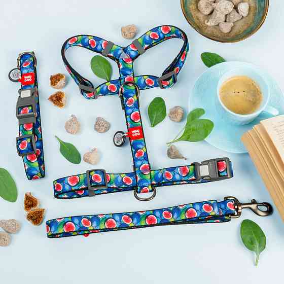 Нашийник для собак нейлоновий WAUDOG Nylon з QR паспортом, малюнок "Інжир", пластиковий фастекс Коломыя