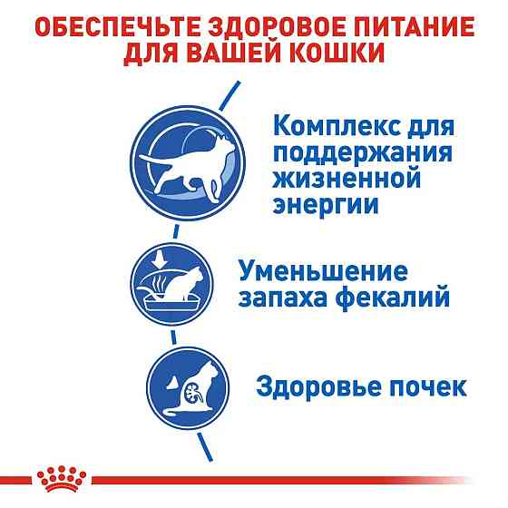 Royal Canin Indoor 7+ (Роял Канін Індор 7+) сухий корм для кішок 7-12 років Запоріжжя
