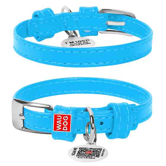 Нашийник для собак шкіряний WAUDOG Glamour з QR паспортом, без прикрас, XXS, Ш 9 мм, Дов 19-25 Коломия