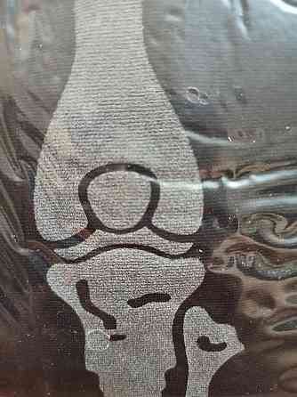 Колготи жіночі Скелет на Хелловін принт світиться в темряві 40 den розмір L 46-48 чорний Київ