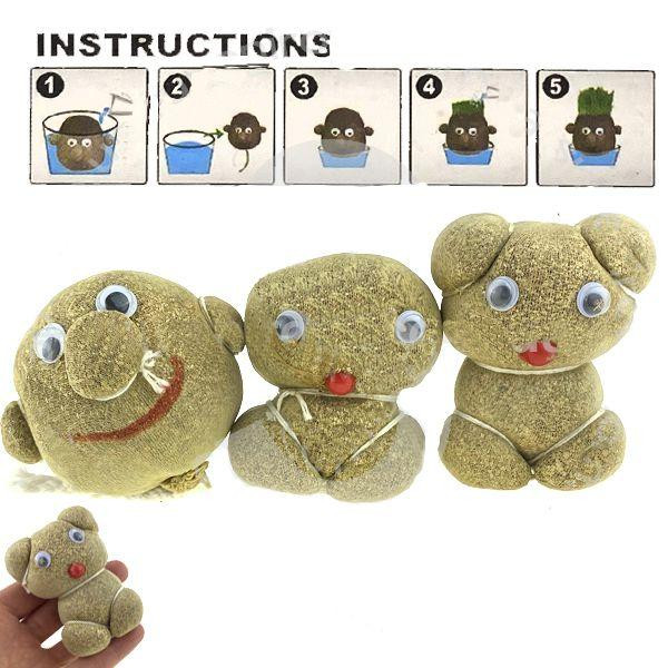 Травянчик с семенами Киев - изображение 1