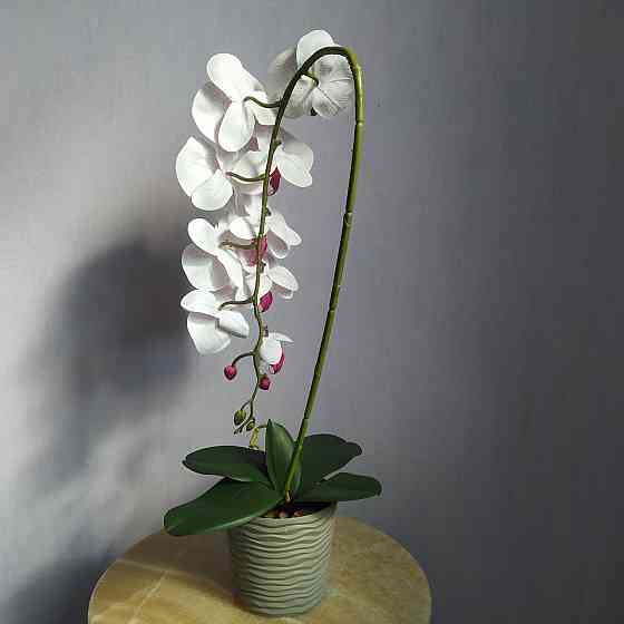 Штучна латексна орхідея VIP у пластиковому кашпо на одну гілку біло-бузкова Дніпро