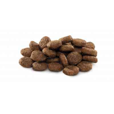 Сухий корм для собак Brit Premium Dog Junior L 3 кг (8595602526420) Вінниця