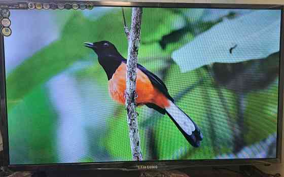 Телевізор: 34" Smart TV Samsung 4K, T2, 34 UHD, Android 13. Харків