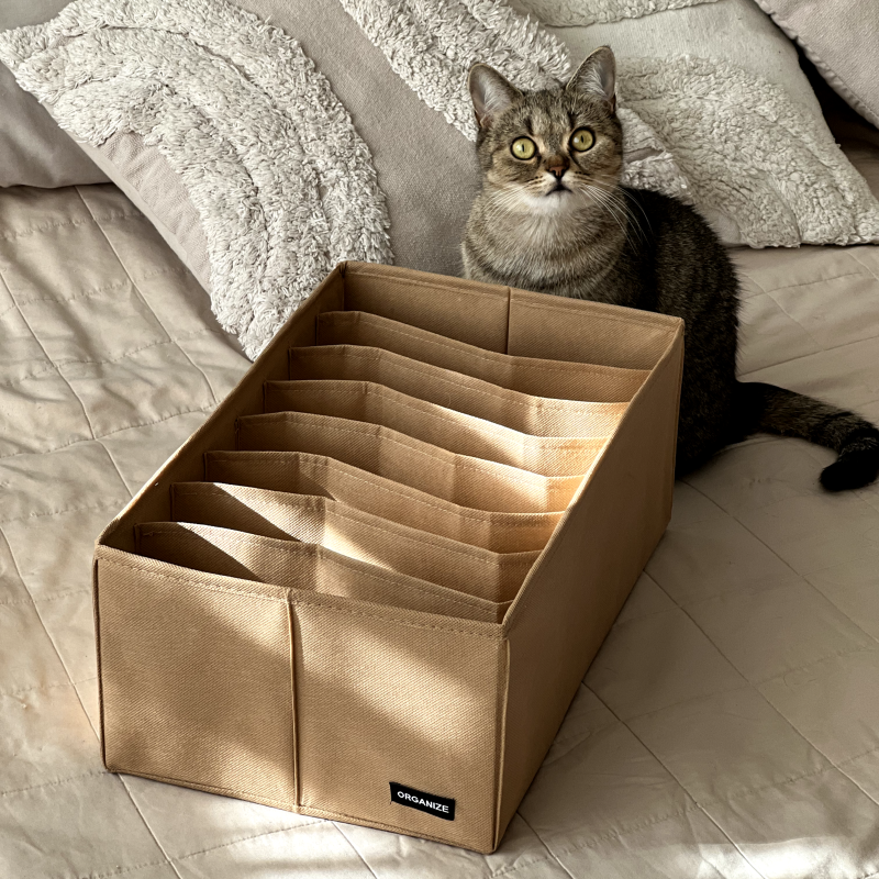 Ящик для зберігання на вісім відділень 40х25х16 см HY-40-Bezh (Бежевий) Суми - фото 4