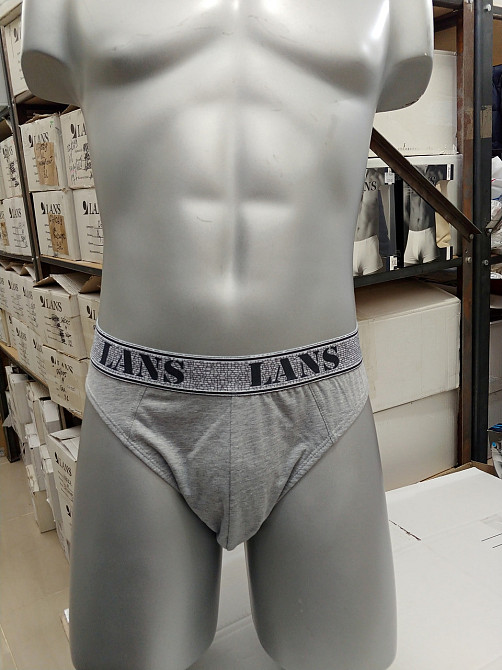 Трусы мужские Lans 03/035 XXL, Серый Киев - изображение 1