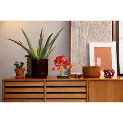 Конструктор LEGO Botanicals Бонсай з японського червоного клена (10348) Вінниця