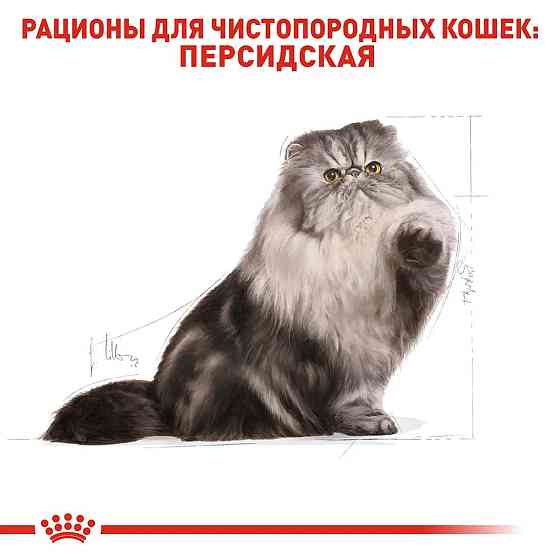 Royal Canin Persian Adult (Рояв Канін Першиан) сухий корм для котів перської породи від 12 місяців 2 кг. Запоріжжя