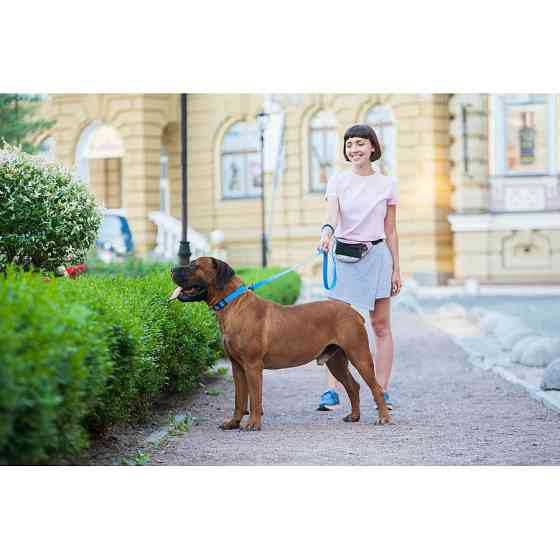 Повідець для собак водостійкий WAUDOG Waterproof, L-XXL, Ш 25 мм, Дов 122 см блакитний Коломыя