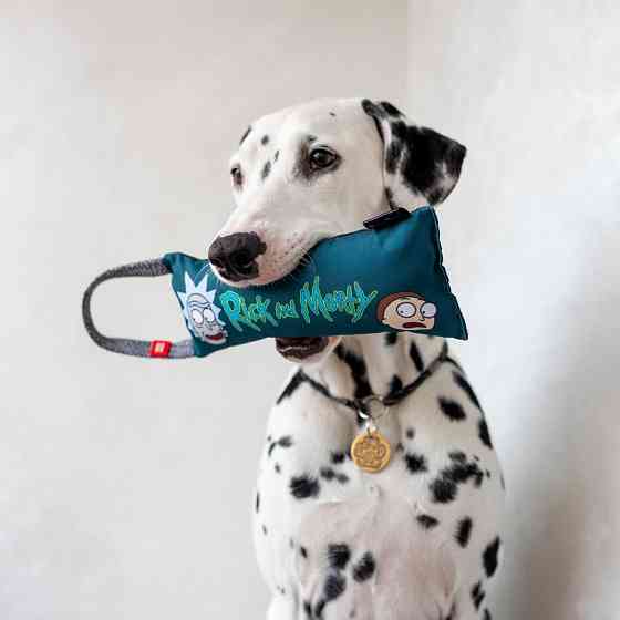 Іграшка для собак WAUDOG Fun з пискавкою, малюнок Рік і Морті 1, L, Ш 11 см, Д 26 см Київ