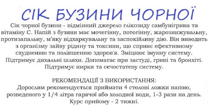 Бузина чорна (сік концентрат), 0.2 літри Київ - фото 2