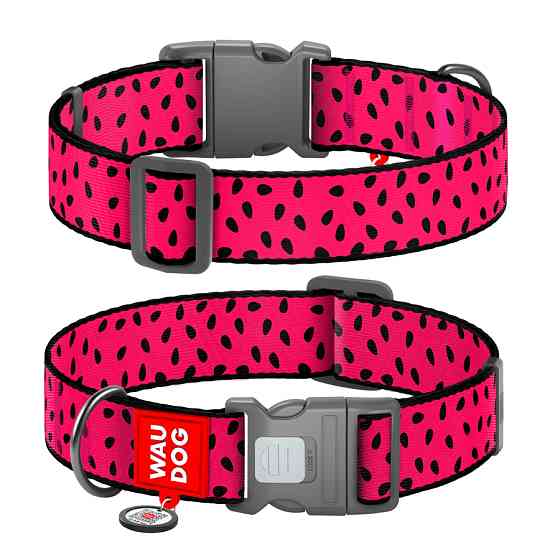 Нашийник для собак нейлоновий WAUDOG Nylon з QR паспортом, малюнок "Кавун", пластиковий фастекс Коломыя