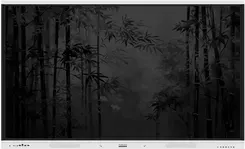 Інтерактивна дошка Myboard Monitor Interaktywny Panda 2.0 65 Uhd 4K Z Androidem 14.0 (70447) Київ