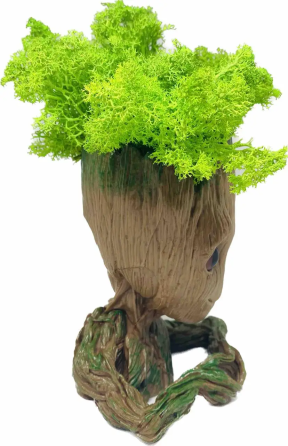 Кашпо горшочек со стабилизированным мхом Грут Groot G2 Винница
