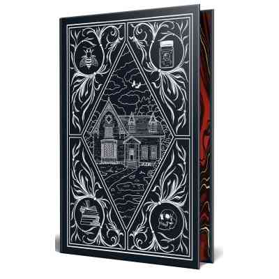 Книга Чорнило. Кров. Сестра. Книжник - Емма Терзс Видавництво РМ (9786178373900) Винница