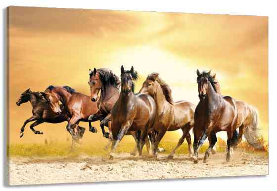 Картина полотно у вітальню / спальню   Вільні  Коні      MLP_257 ( 60х30см ) Київ