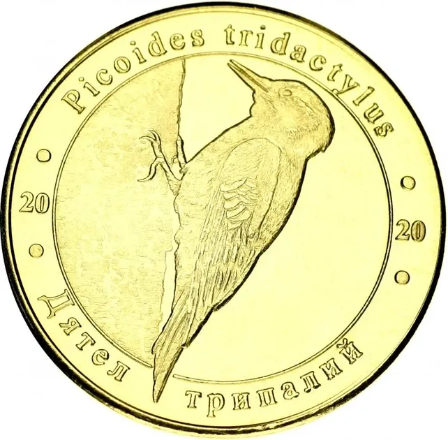 Украина 1 злотник 2020 Красная книга Украины Птица Дятел UNC Полтава - изображение 1