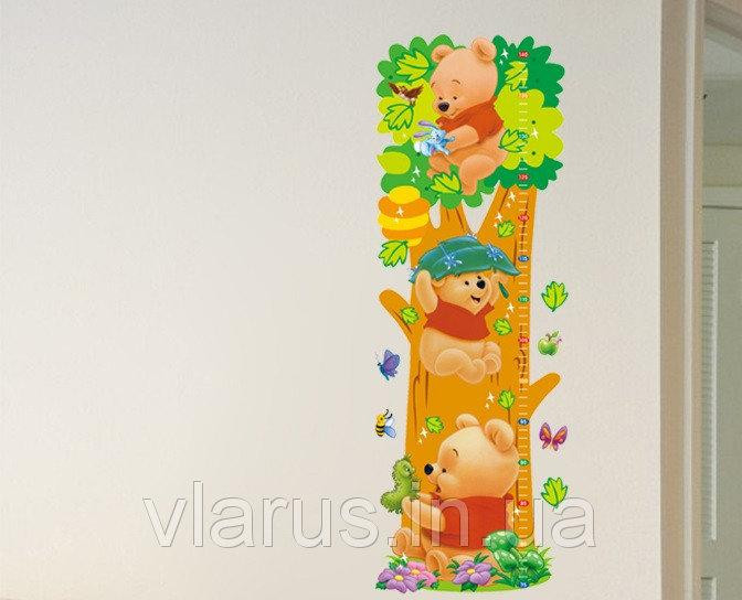 Наклейка ростомір на стіну Вінні Пух Київ - фото 5