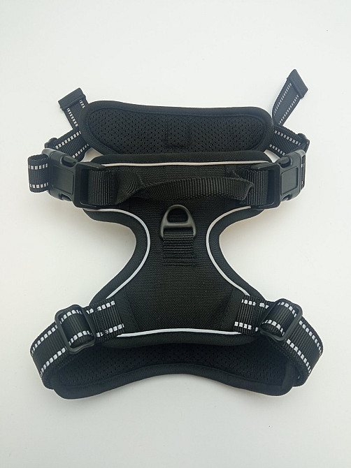 Шлея для собак з повідцем розмір М (товар вживаний) Луцьк - фото 2