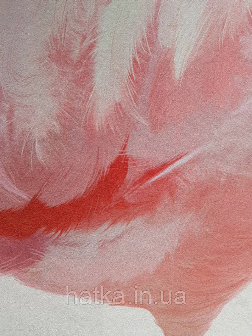 Фотообои бесшовные флизелиновые экологически чистые Caribbean flamingo птицы розовый фламинго на траве Киев - изображение 3