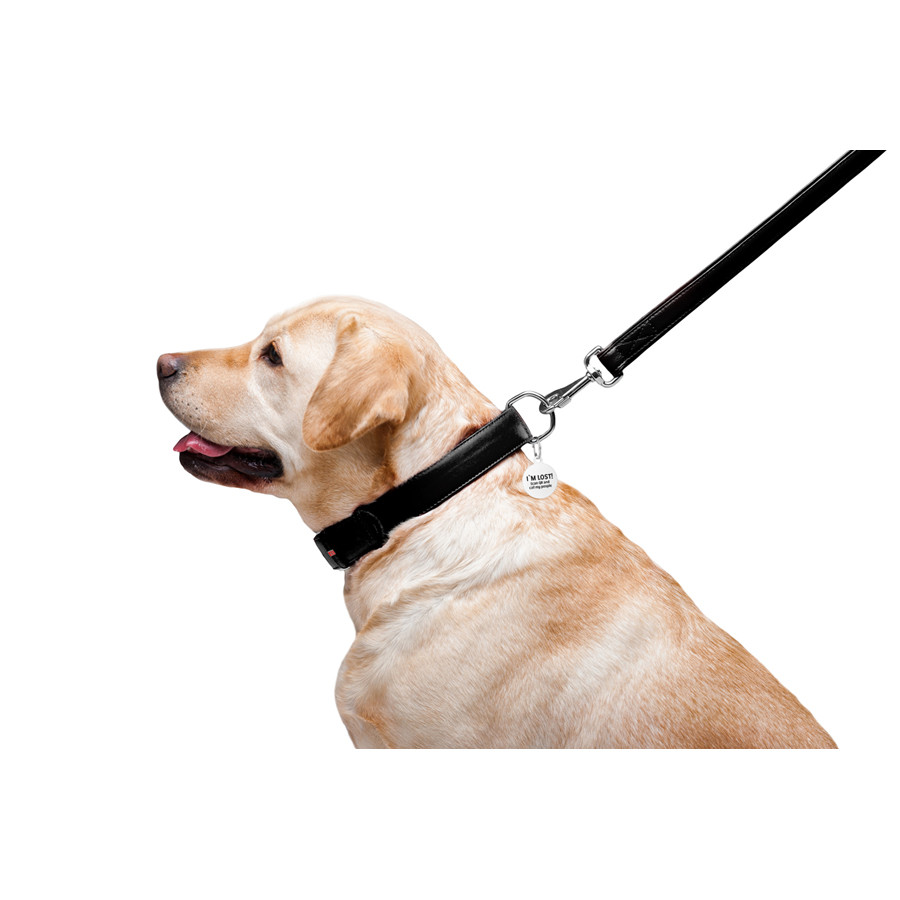 Повідець для собак шкіряний WAUDOG Glamour, Ш 25 мм, Дов 122 см чорний Коломия - фото 7