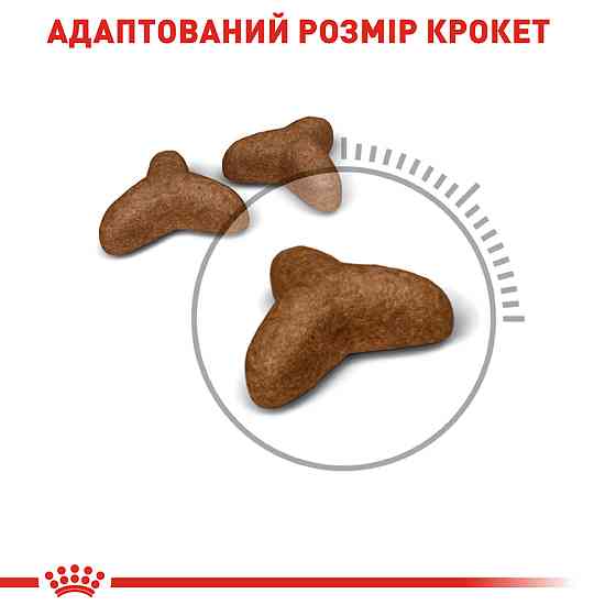 Корм для котів ROYAL CANIN LIGHT WEIGHT CARE 0.4 кг Київ