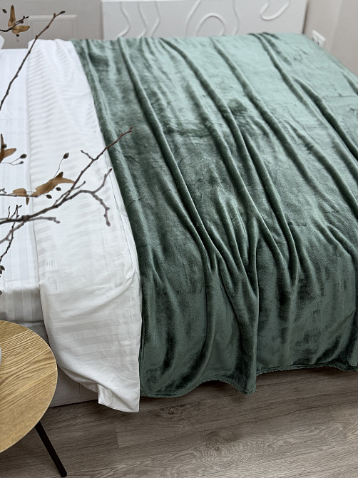 Ecotton Плед Ecotton 200х220 см Well Soft пудровий зелений (17-0112 Matte green) Коломия - фото 2
