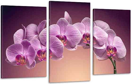 Модульна картина Квіти Орхідея Art-111_3 Київ