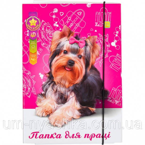 Папка для праці А4 об'ємна ламінована на гумці Кривий Ріг - фото 3