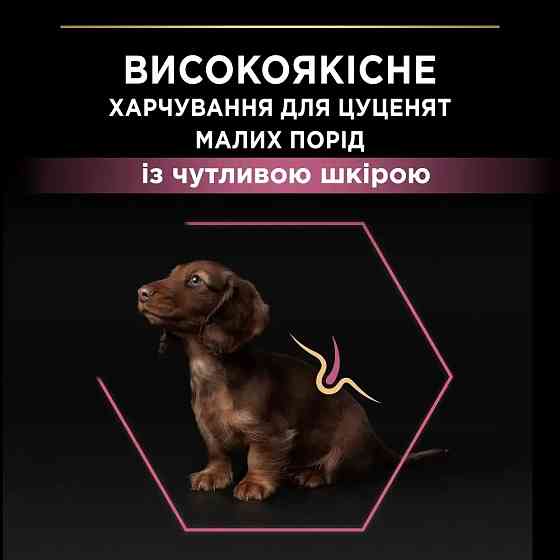 Сухий корм PRO PLAN Small&Mini Puppy  Київ