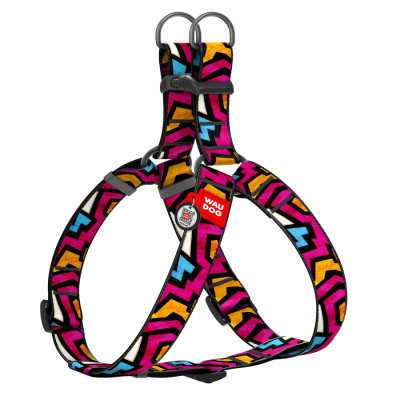 Шлей для собак WAUDOG Nylon с QR паспортом "Граффити" пластиковый фастекс XL (324-0021) Винница - изображение 1