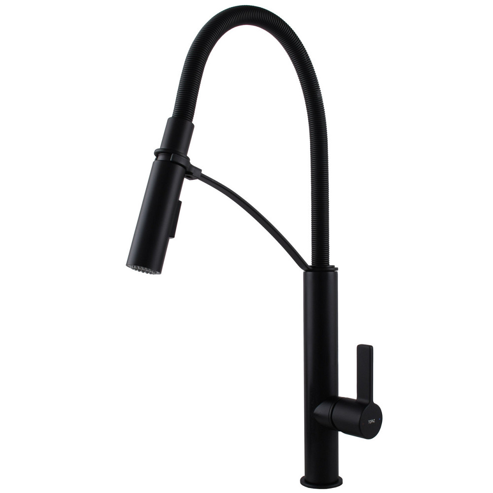 Смеситель для кухни TOPAZ SARDINIA TS 8818-BL (000019559) Киев - изображение 1