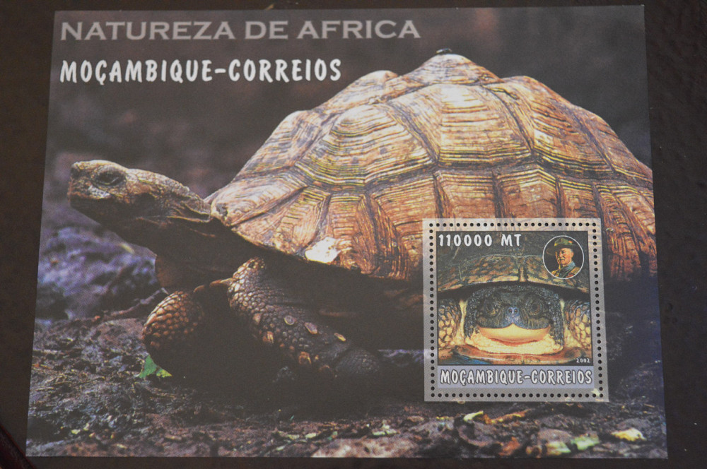Мозамбик. Фауна. Блок. 2015 год (В-7) Полтава - изображение 1