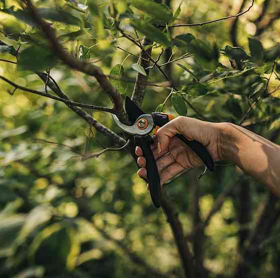 Площинний Секатор 26 см Fiskars Solid "P321" (1057162) Високовуглецева сталь Нововолинськ