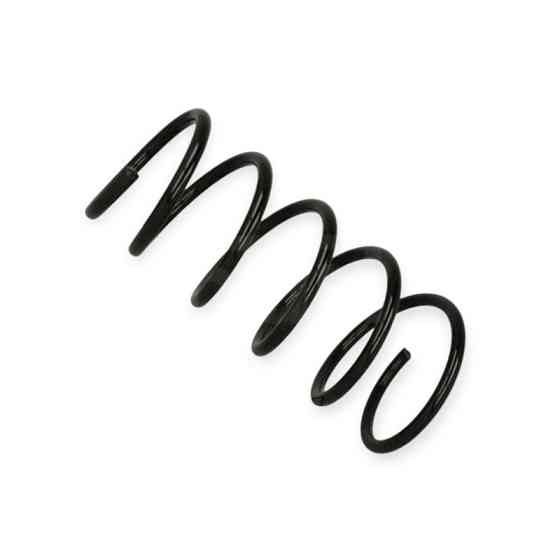 Пружина Renault Megane I 1.4-1.8i (96-03) передняя Мукачево