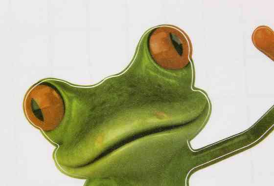 Наклейка на унітаз Жаба 18 на 18 см різнобарвний Київ