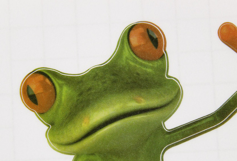 Наклейка на унитаз Лягушка 18 на 18 см разноцветный Киев - изображение 3