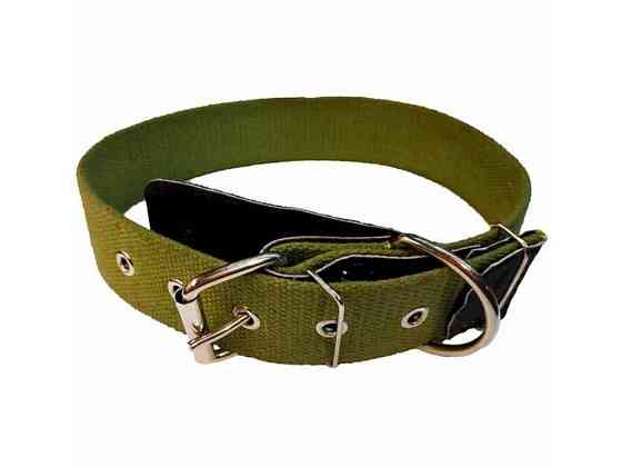 Нашийник брезент 45см 25мм одинарний ТМ DOG COLLAR Киев
